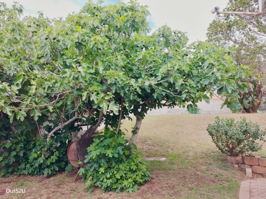 3 Bedroom Property for Sale in Fraaiuitsig Western Cape